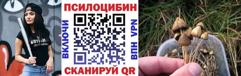 купить наркотики цена  Заводоуковск  ОМГ ОМГ ONION  Галлюциногенные грибы Psilocybe 