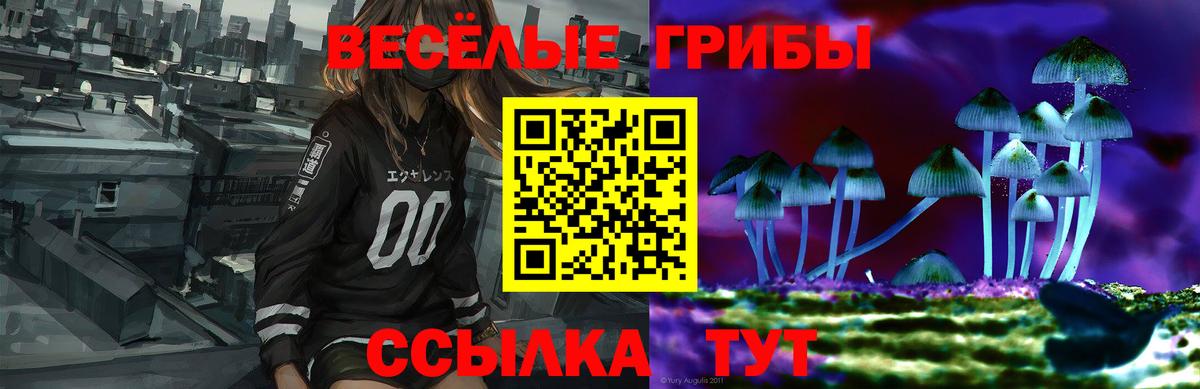 A PVP Заводоуковск