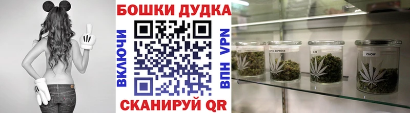 Шишки марихуана сатива  Заводоуковск 